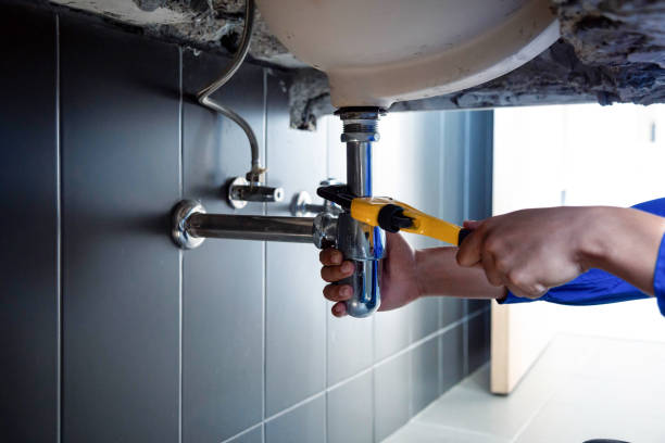 Professional Plumbing  in Linden, AZ